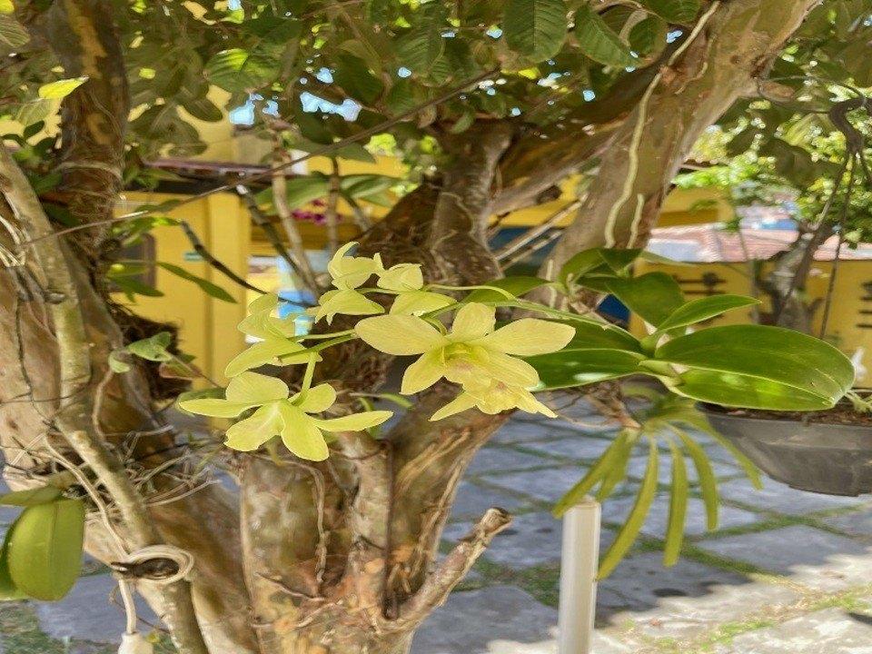 Estalagem Toca Dos Coelhos Arraial do Cabo